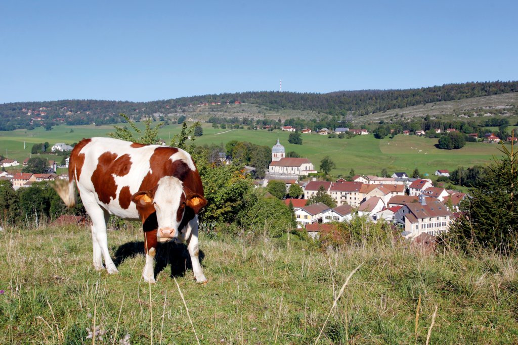 foncine paysage Tpetit