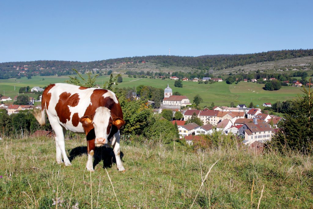 foncine paysage Tpetit