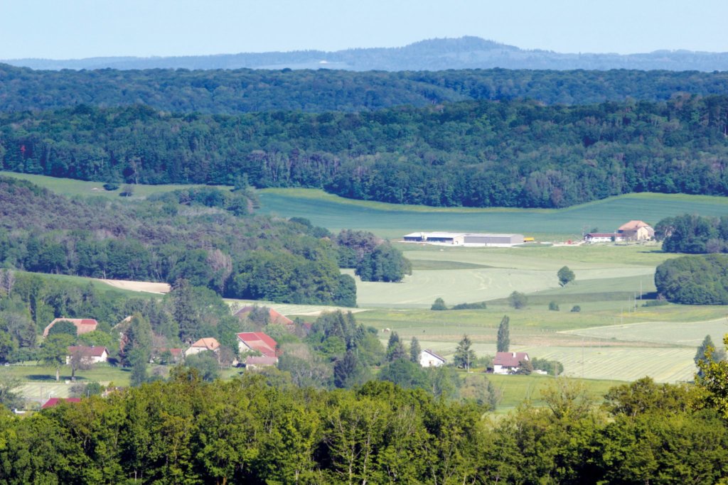 p11 - Paysage Fontain 1 - Thierry Petit