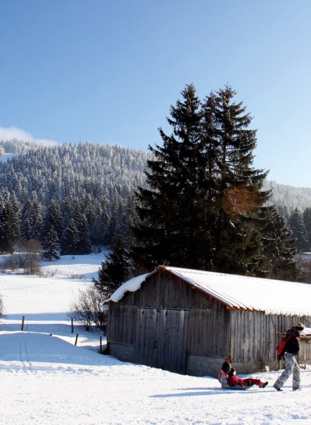 p14 - Paysage Haut-Doubs (Sophie Cousin)