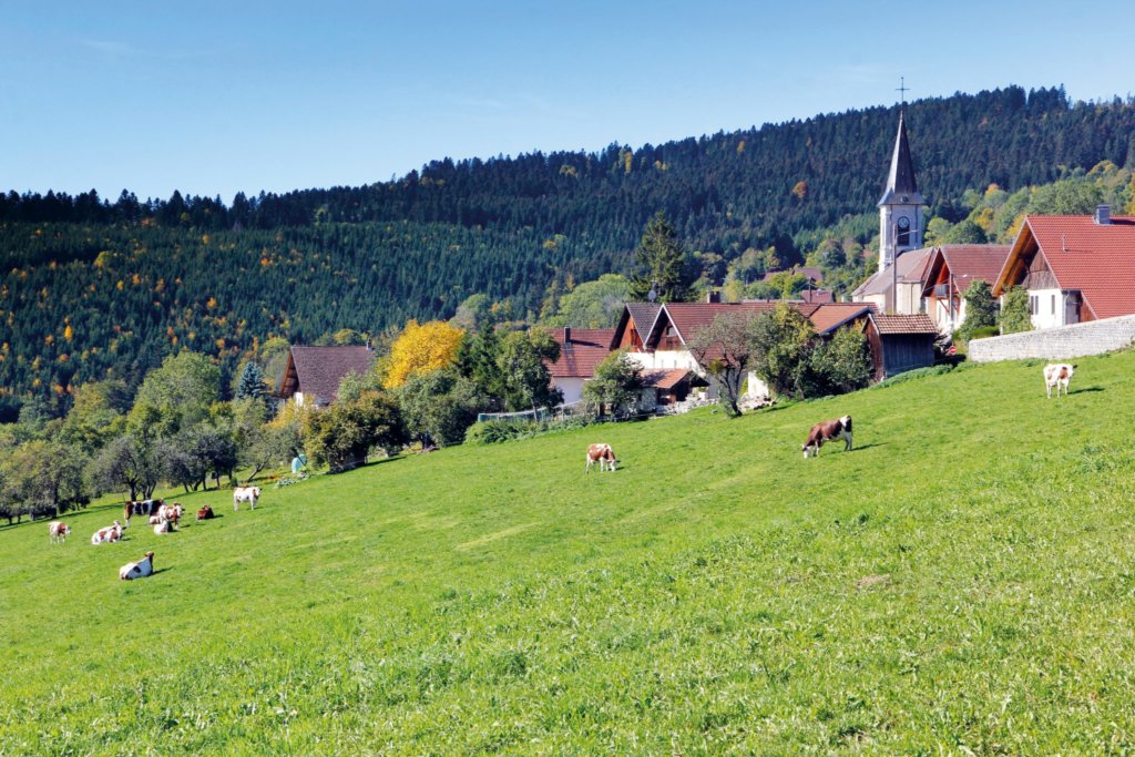 p11 - Paysage Charmauvillers - Thierry Petit