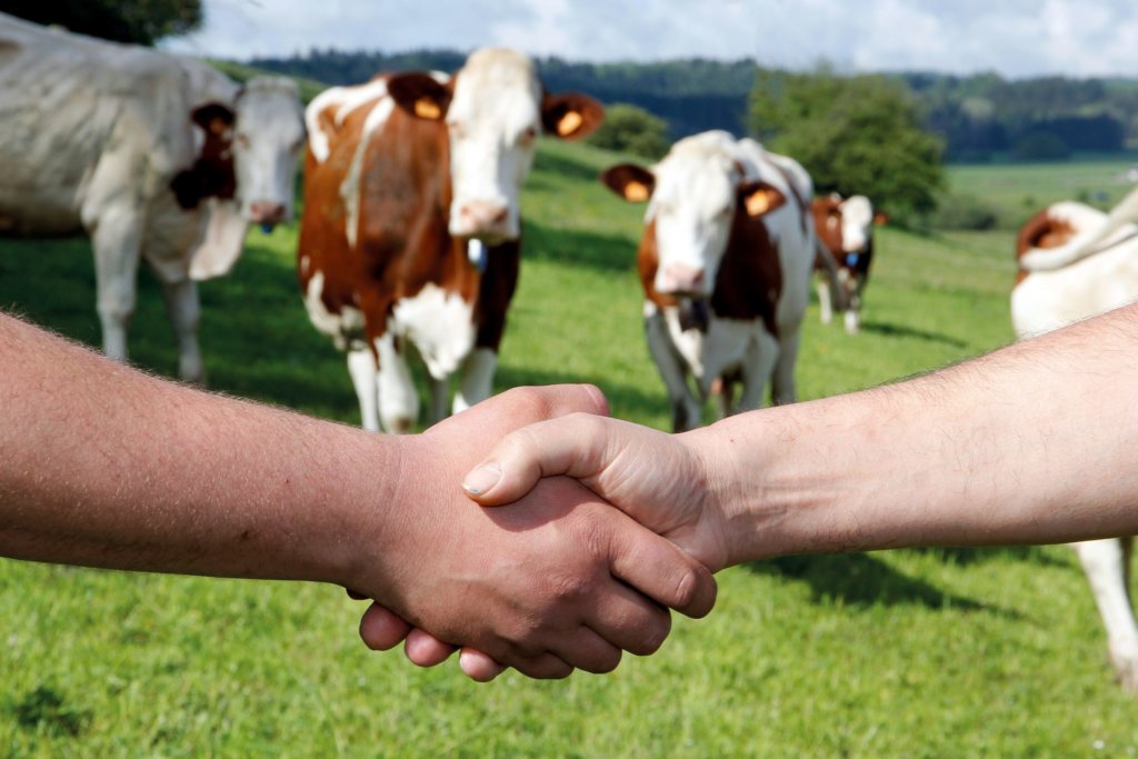 p6 - Serrage de mains Agri - Thierry Petit