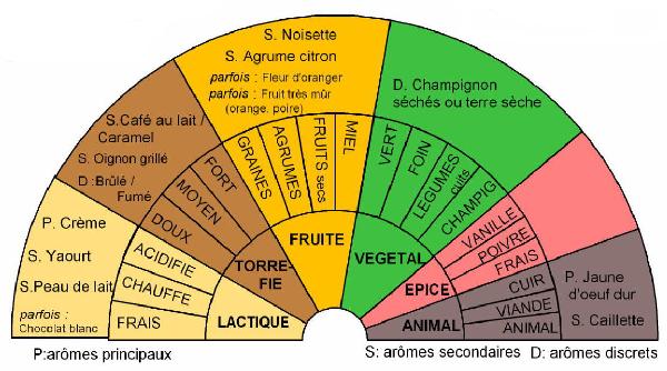 Palette aromatique des Comté de la fruitière d’Arinthod, fabriqués en 2003-2004 et 2011-2015, affinés par la maison Arnaud. Dégustations réalisées par le Jury Terroir Comté. Réalisation : F. Bérodier, CTFC, février 2016