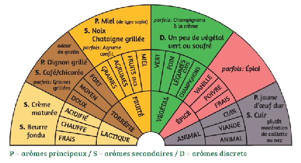 Palette aromatique des Comté de la fruitière de Belleherbe, fabriqués entre 2010 et août 2014, affinés par les maisons Petite et Vagne. Dégustations réalisées par le Jury Terroir Comté. Réalisation F. Bérodier, CTFC, novembre 2015