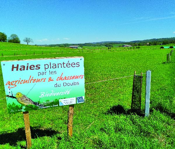 Biodiversité : les agriculteurs, acteurs de la protection de l’environnement (été 2018).jpeg