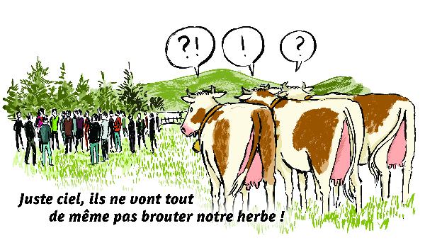 Les associés des deux GAEC Bole-Senot et La Mouttote ont tout gagné à se mettre d’accord.