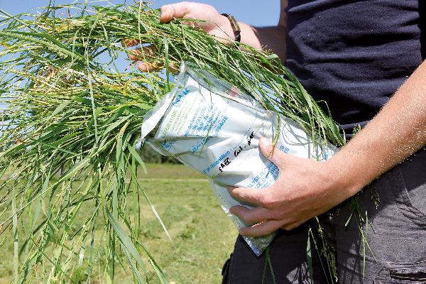 Un prélèvement d’herbe fraîche.