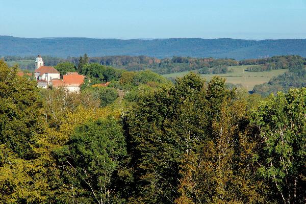 Sur le haut de Passavant, les haies sont nombreuses et la forêt a beaucoup progressé depuis la fin des années 1950.