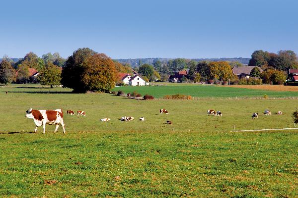 Le paysage nous en dit long... (février 2019).jpeg