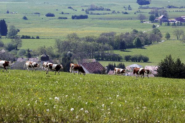 (Photo © CIGC/Petit)