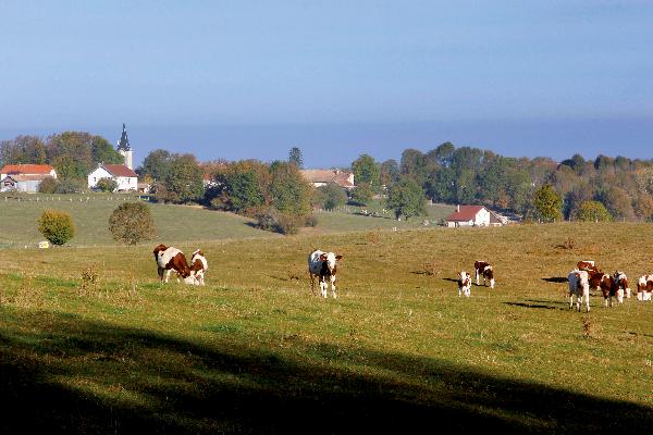 Le paysage nous en dit long... (juin 2019).jpeg