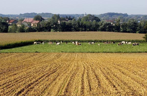 (photo ©CIGC/Petit)