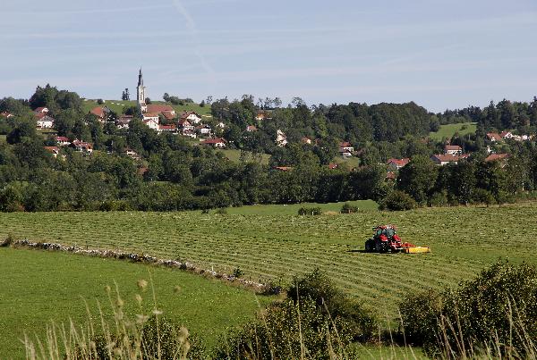 Les sols fertiles assurent une excellente production fourragère. (Photo © CIGC/Petit)