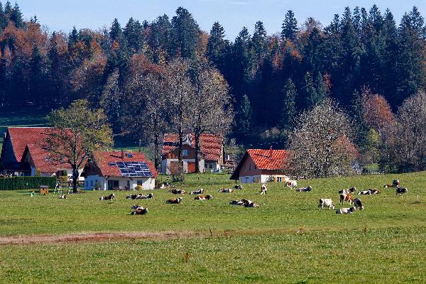 Les fermes des sociétaires de la fruitière des Jarrons sont localisées dans les hameaux qui caractérisent le mode de peuplement de cette montagne. (Photo © CIGC/Petit)