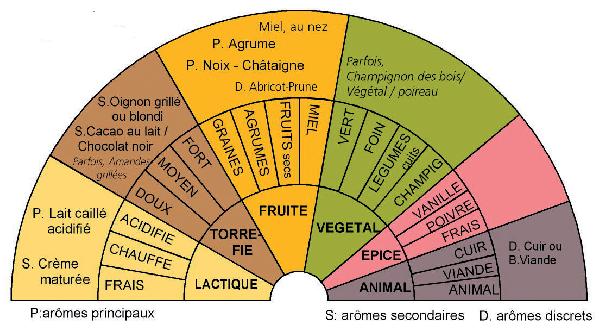 15 fromages ont été examinés par le Jury terroir mais certains étaient très peu affinés et très particuliers ; 8 servent à définir la présente palette aromatique.