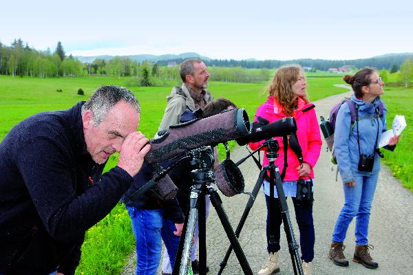 Observer les oiseaux, pour mieux intégrer leur protection dans les gestes professionnels quotidiens.