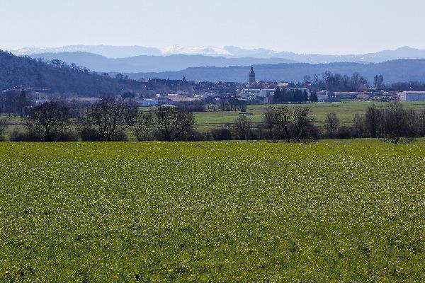 La Petite Montagne du Jura se situe entre l'escarpement du Revermont, la Vallée de l'Ain et la région des Lacs. (Photo © CIGC/Petit)