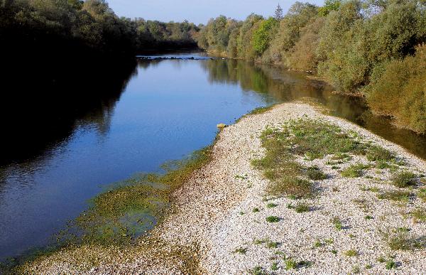 La Loue s’écoule doucement dans ce paysage de plaine qu’elle a façonné au coeur de la forêt.