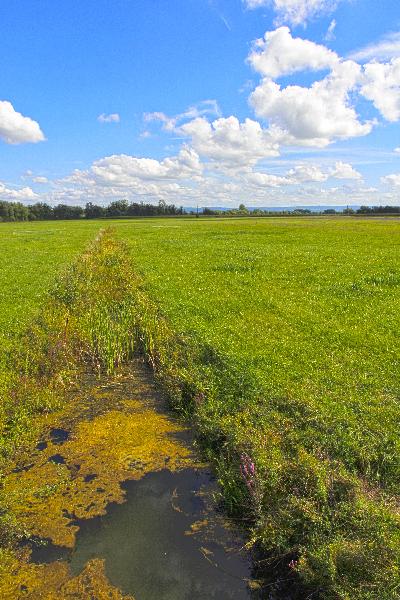 Une région de polyculture-élevage. (photo ©CIGC/Petit)