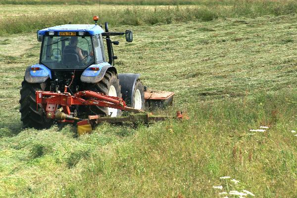 Les éleveurs en pleine activité