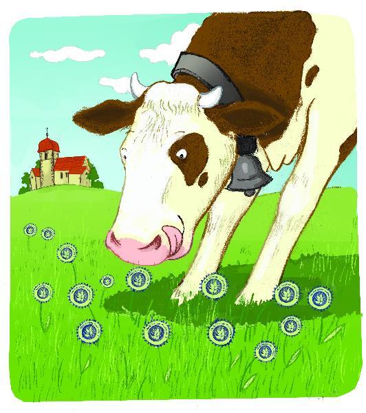 Les fromages : première valorisation du lait bio.