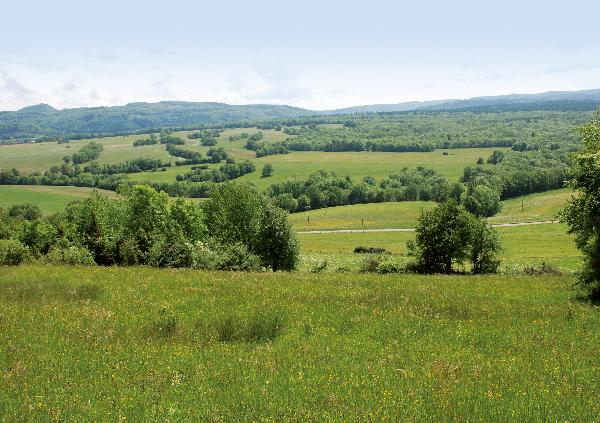 Le secteur d’Eternoz avec ses haies et au second plan, le faisceau salinois et la butte de Montmahoux.