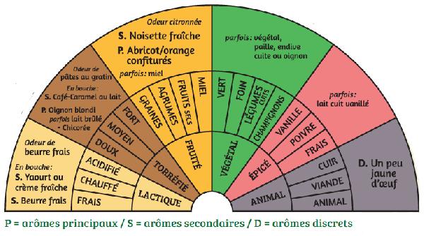 Palette aromatique des Comté de la fruitière de Pleure fabriqués de 2015 à 2016 et affinés par Monts & Terroirs. Dégustations réalisées par le Jury Terroir Comté. Réalisation : F. Bérodier, CTFC, juin 2017.