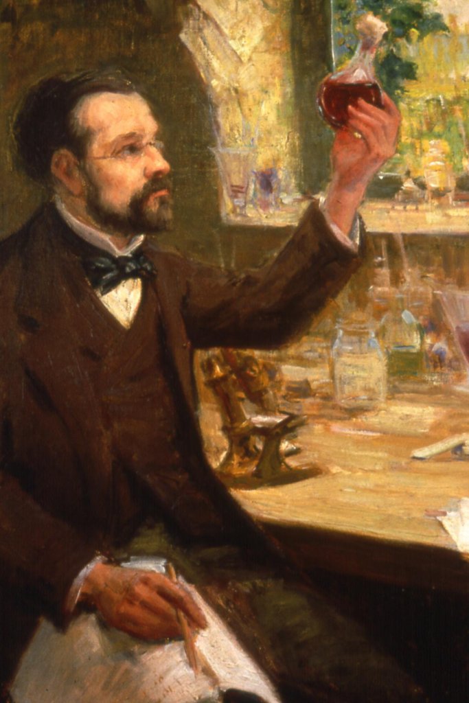 Maison Natale de Pasteur Comté